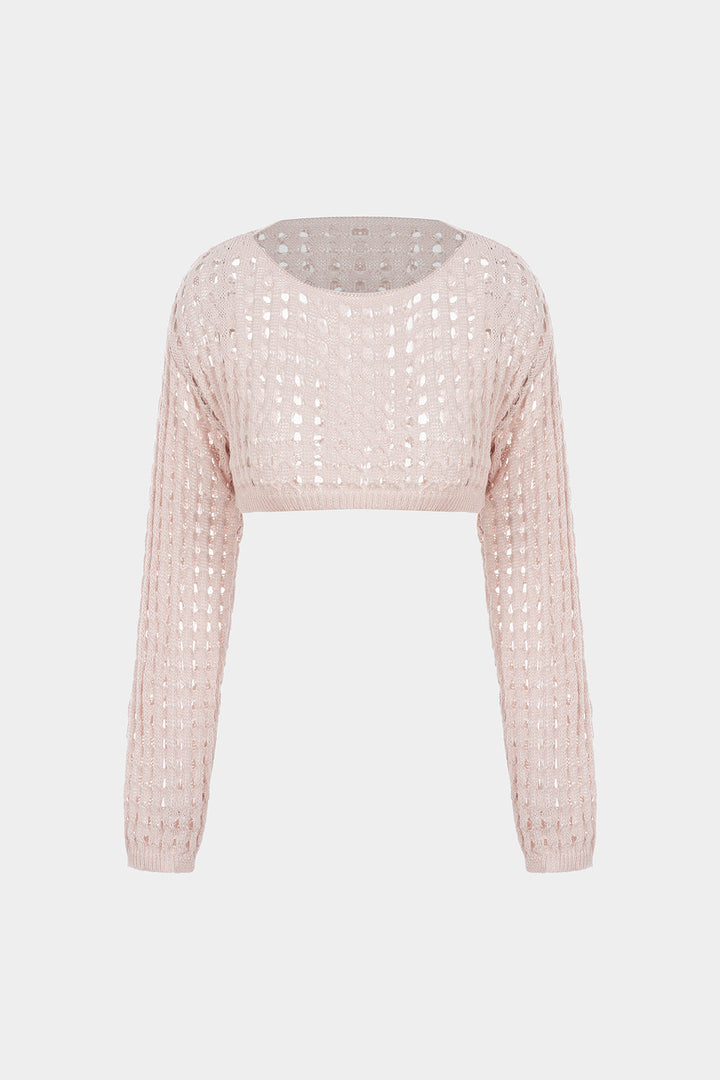 Knit Round Neck Hollow Out Long-Sleeve Cropped Top
