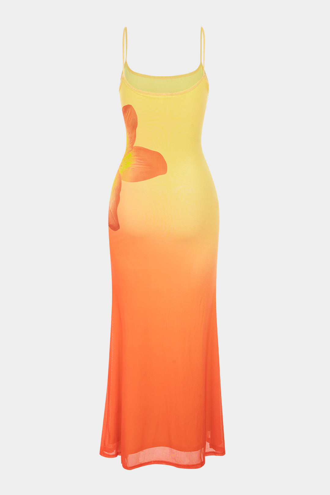 Ombre Floral Print Sleeveless Maxi Dress