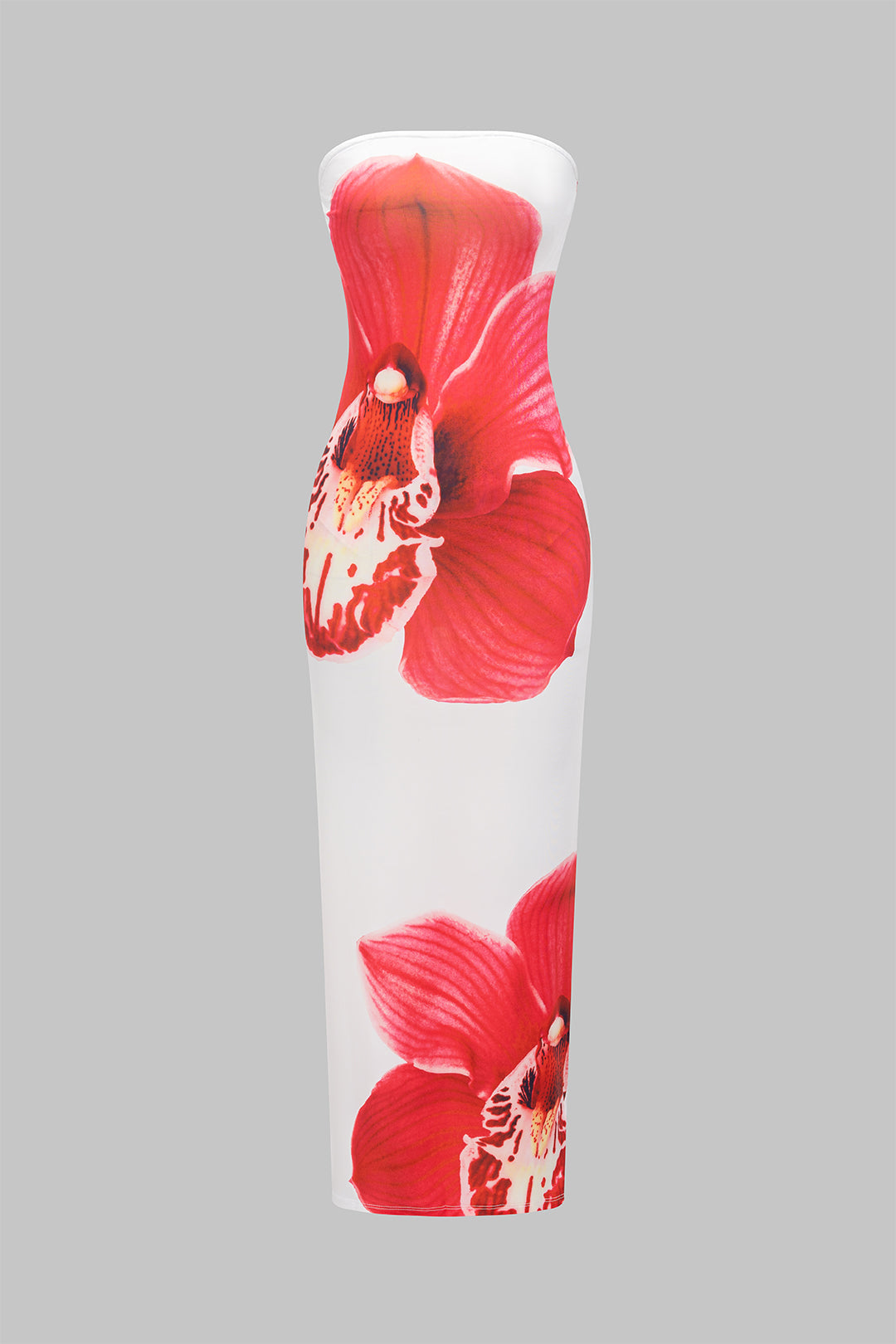 Floral Print Strapless Maxi Dress