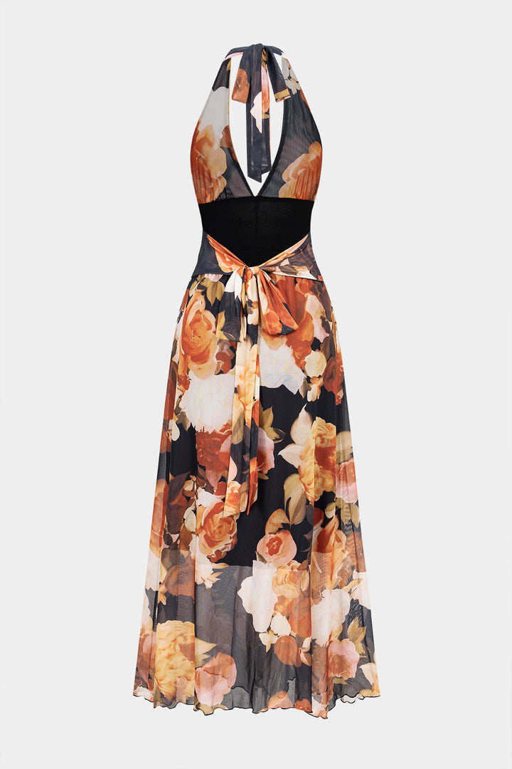 Floral Print Mesh Halter V-Neck Tie Back Backless Sleeveless Maxi Dress
